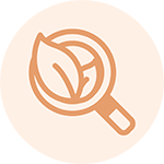 magnifying glass with leaves