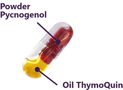 Thymenol pill - Powder Pycnogenol, Oil ThymoQuin