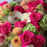 Wisteria Floral Design