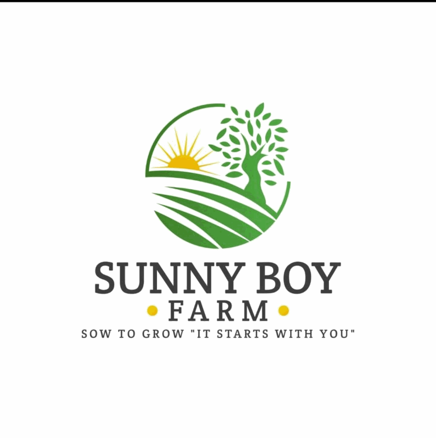 Sunny Boy Farm