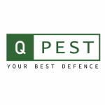Q-PEST (Walk In)