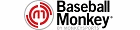 Baseball Monkey